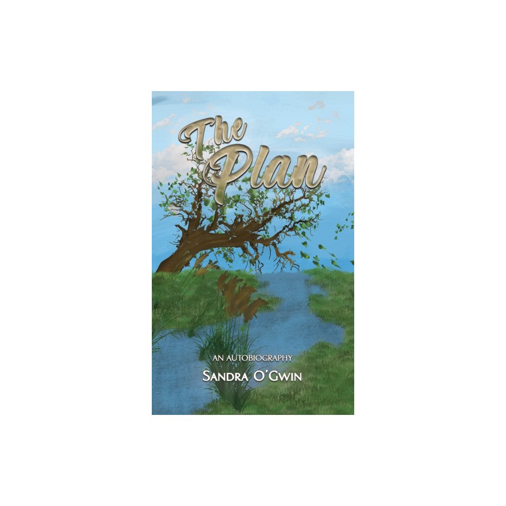 Austin Macauley Publishers The Plan (häftad, eng)