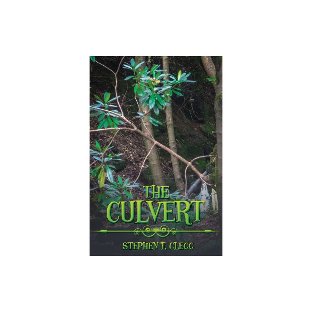 Austin Macauley Publishers The Culvert (häftad, eng)