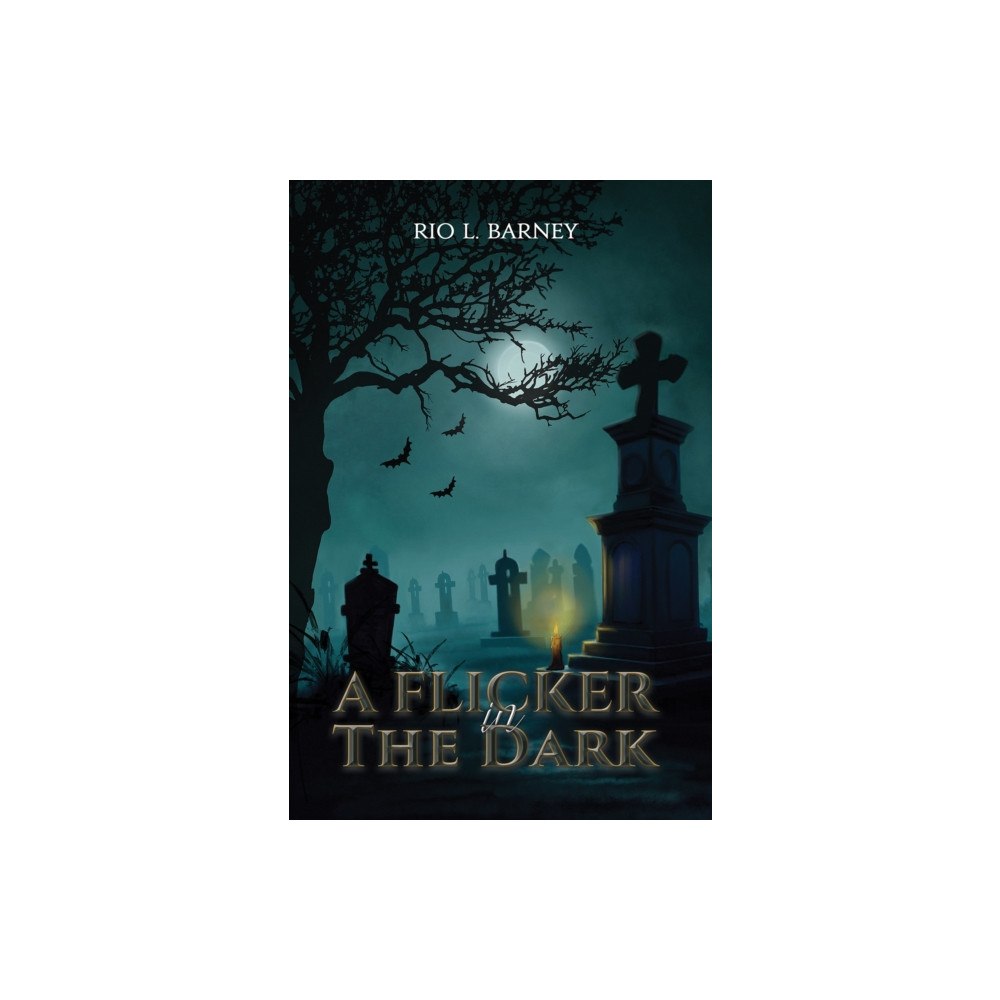 Austin Macauley Publishers A Flicker in the Dark (häftad, eng)
