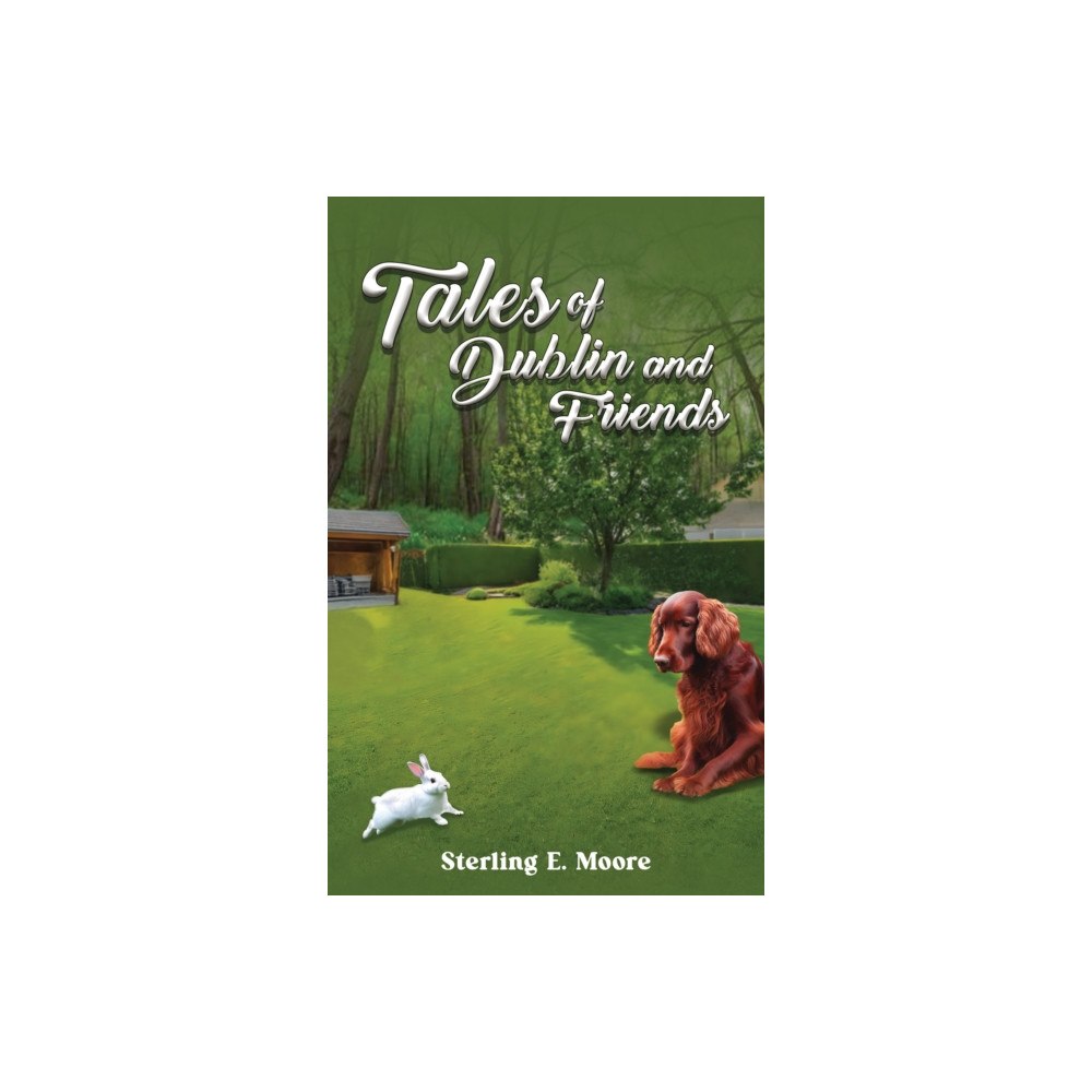 Austin Macauley Publishers Tales of Dublin and Friends (häftad, eng)
