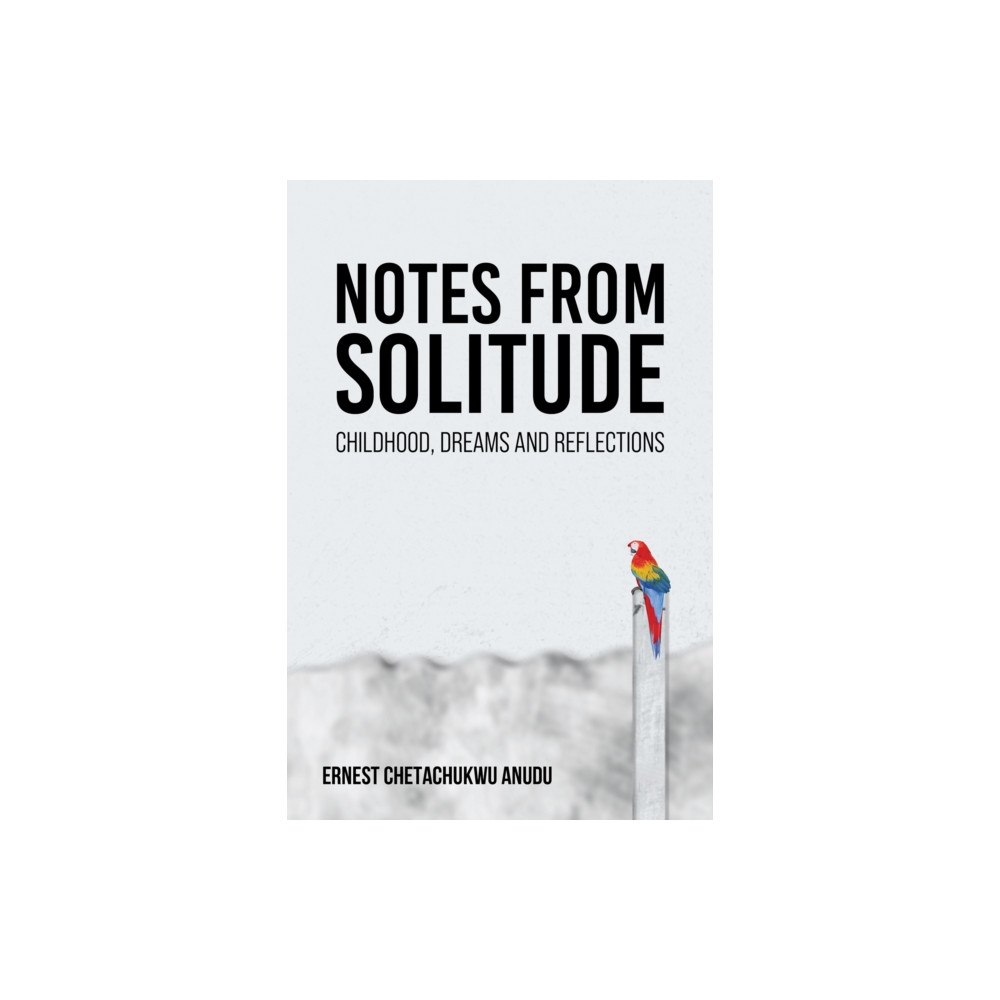 Austin Macauley Publishers Notes from Solitude (häftad, eng)