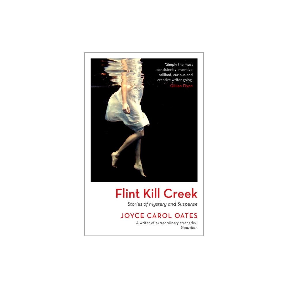 Bloomsbury Publishing PLC Flint Kill Creek (häftad, eng)