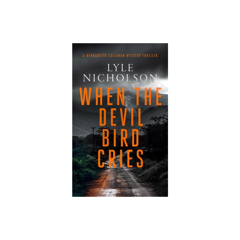 Vinci Books When the Devil Bird Cries (häftad, eng)