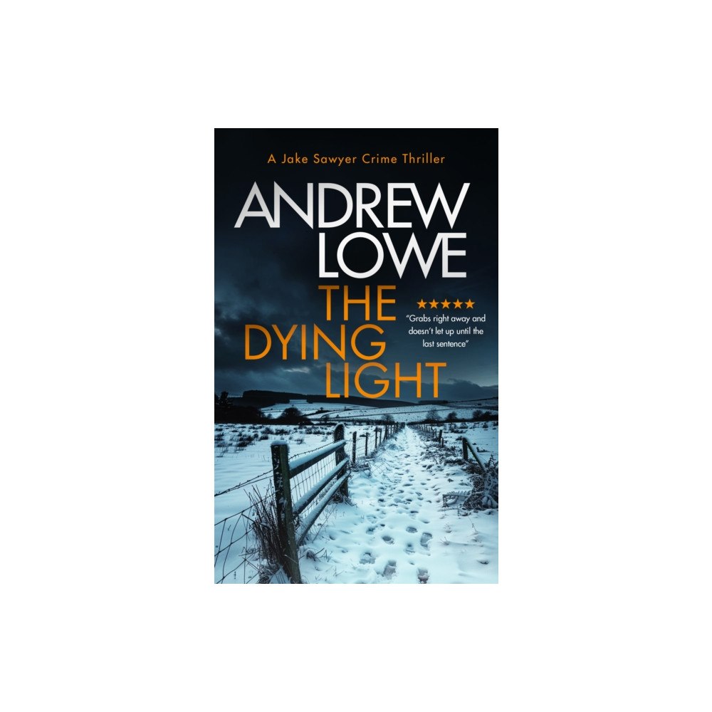 Vinci Books The Dying Light (häftad, eng)