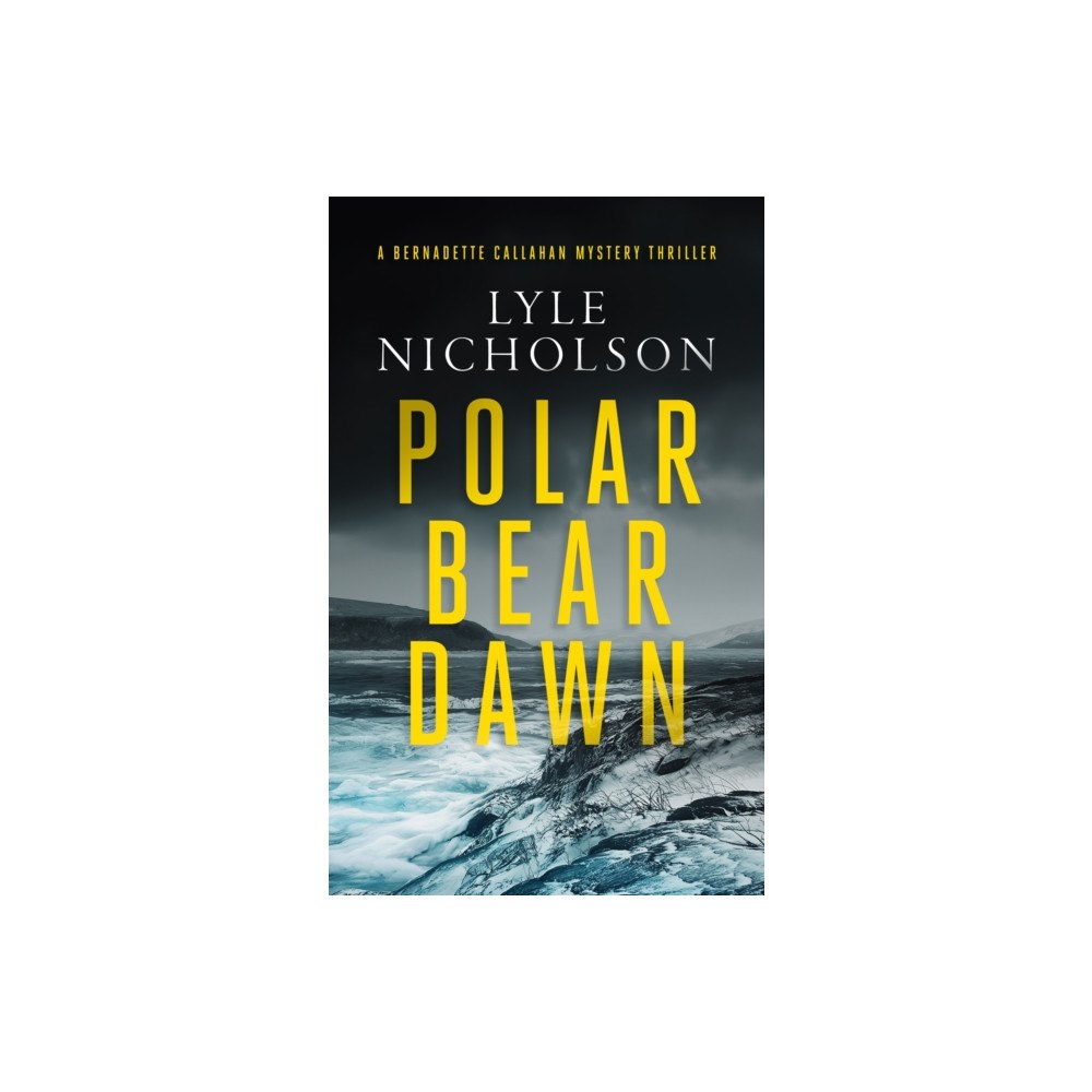 Vinci Books Polar Bear Dawn (häftad, eng)