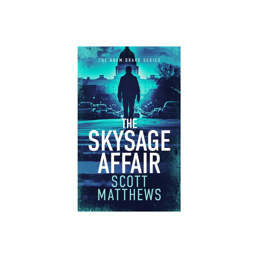 Vinci Books THE SKYSAGE AFFAIR (häftad, eng)