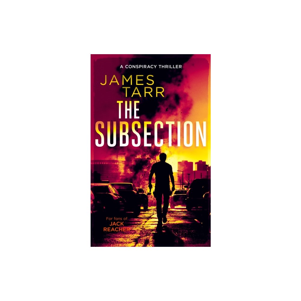 Vinci Books The Subsection (häftad, eng)