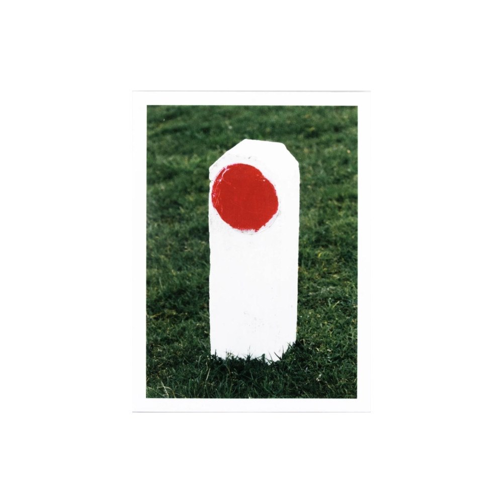 Action Motion Dialogues (häftad, eng)
