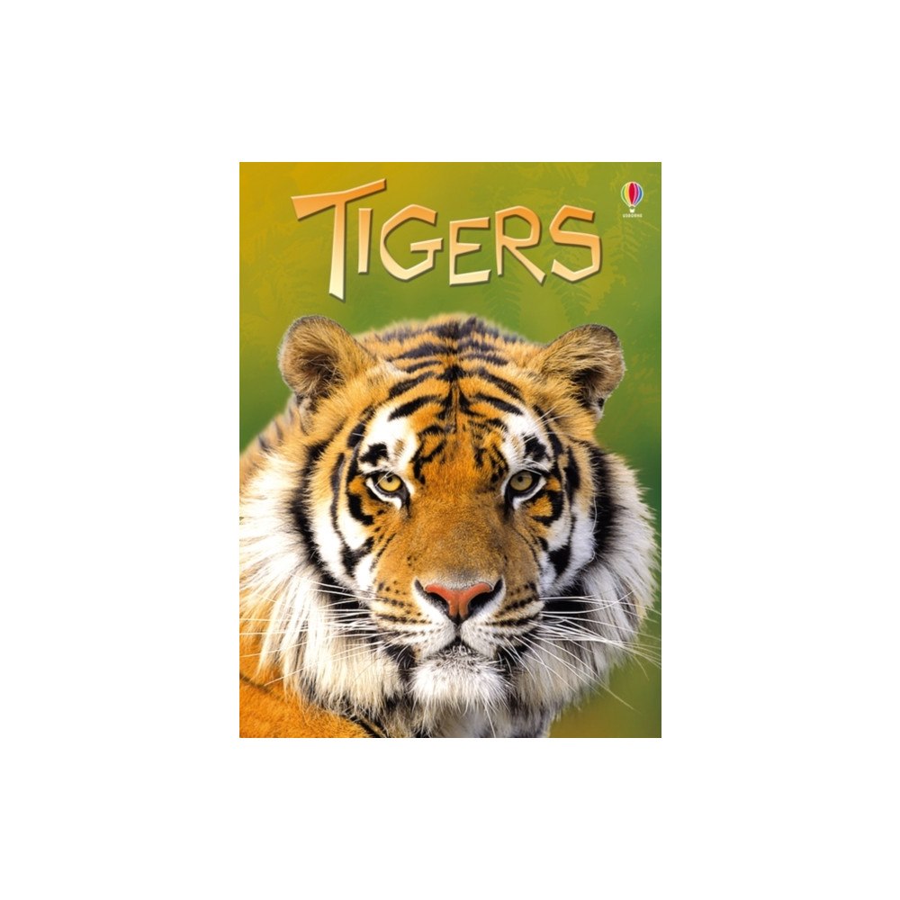 Usborne Publishing Ltd Tigers (inbunden, eng)
