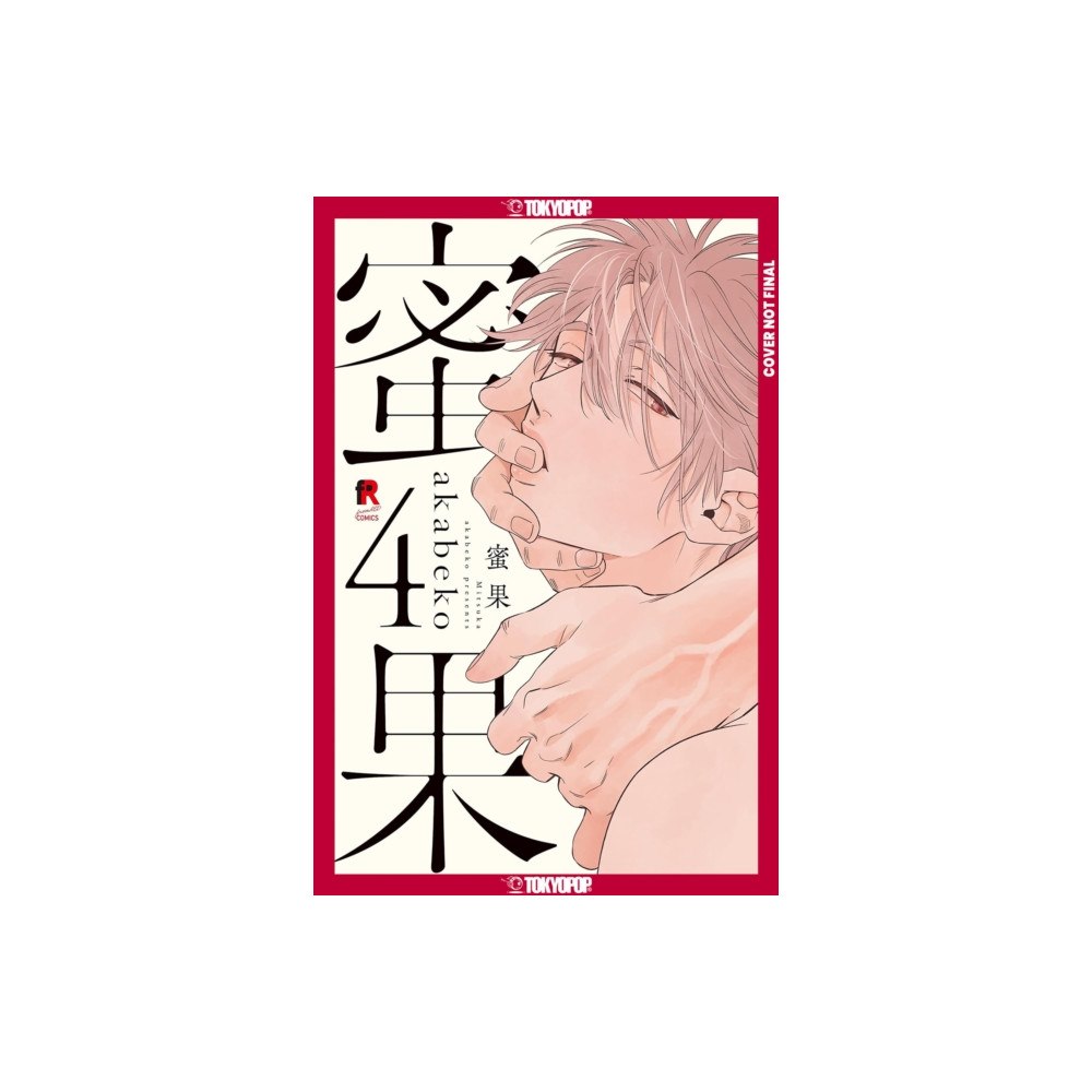 Tokyopop Press Inc Mitsuka, Volume 4 (häftad, eng)