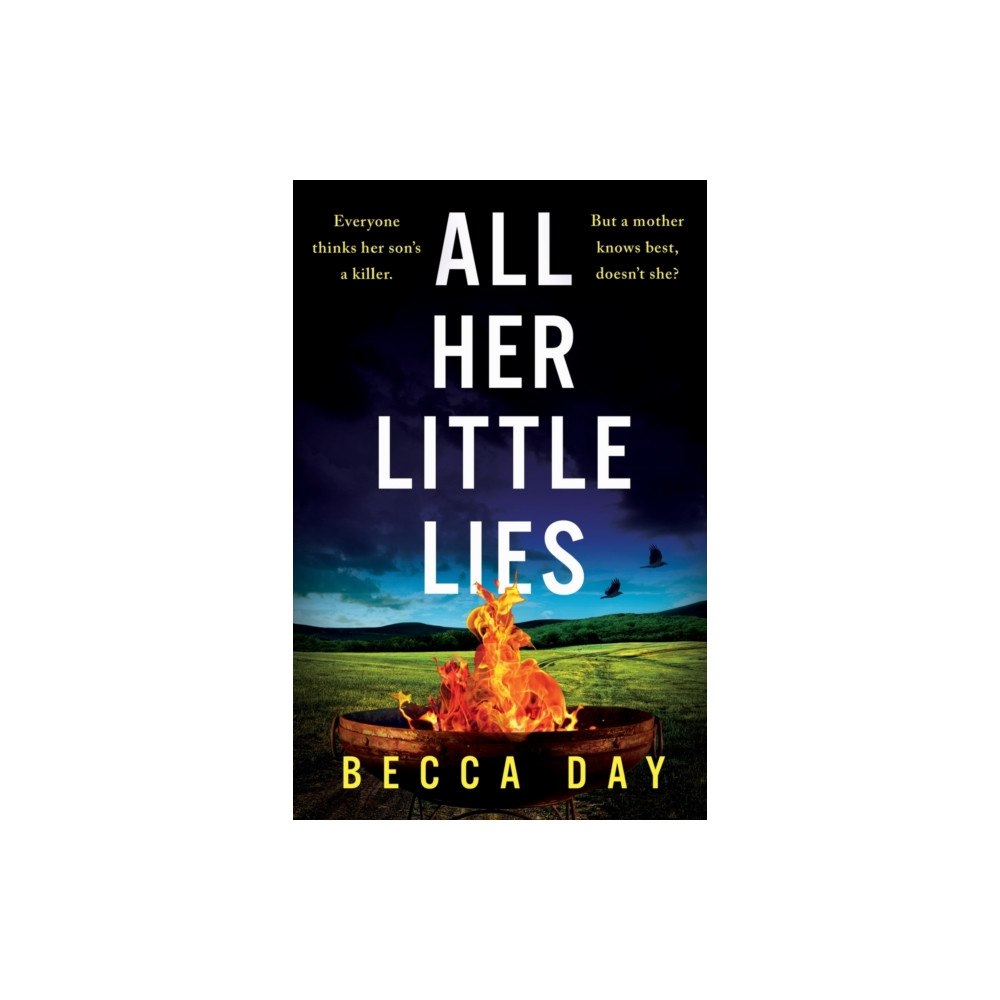 Bonnier Books Ltd All Her Little Lies (häftad, eng)