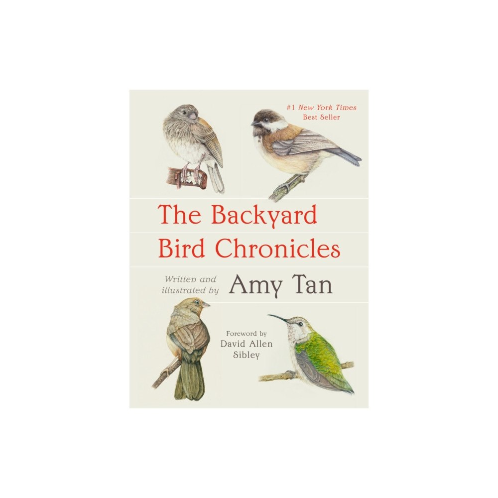 Little, Brown Book Group The Backyard Bird Chronicles (häftad, eng)