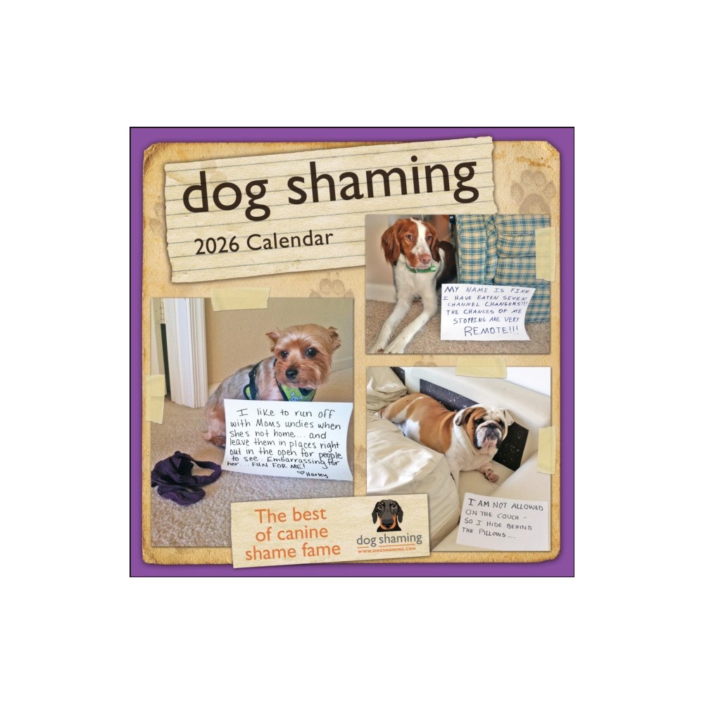 Andrews McMeel Publishing Dog Shaming 2026 Wall Calendar