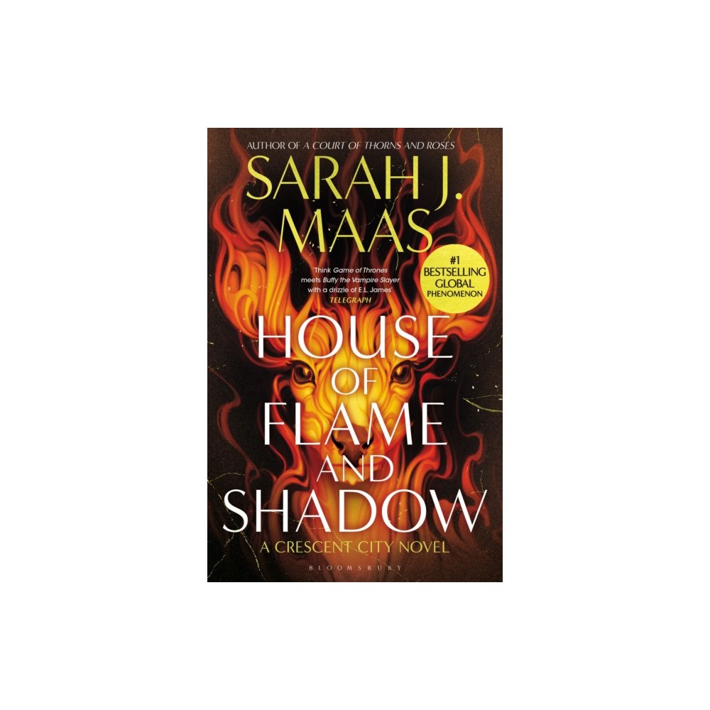 Bloomsbury Publishing PLC House of Flame and Shadow (häftad, eng)