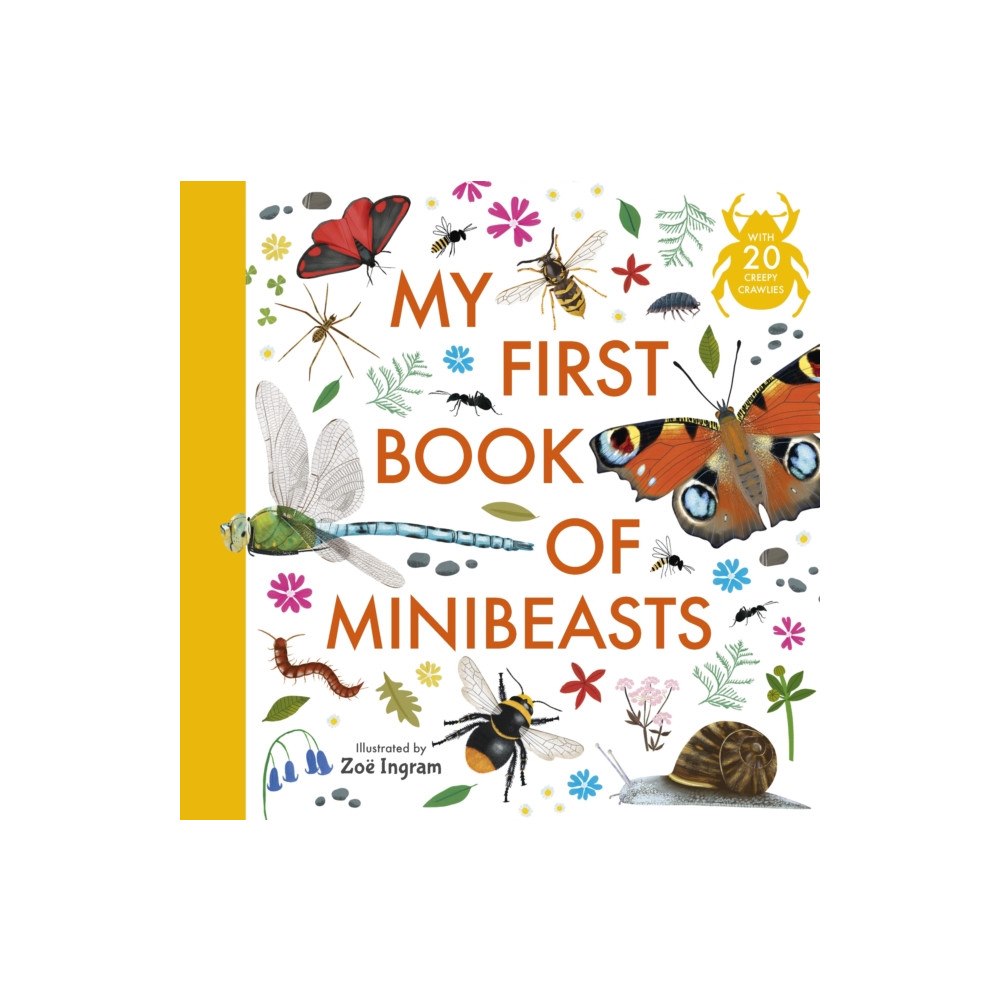 Walker Books Ltd My First Book of Minibeasts (häftad, eng)