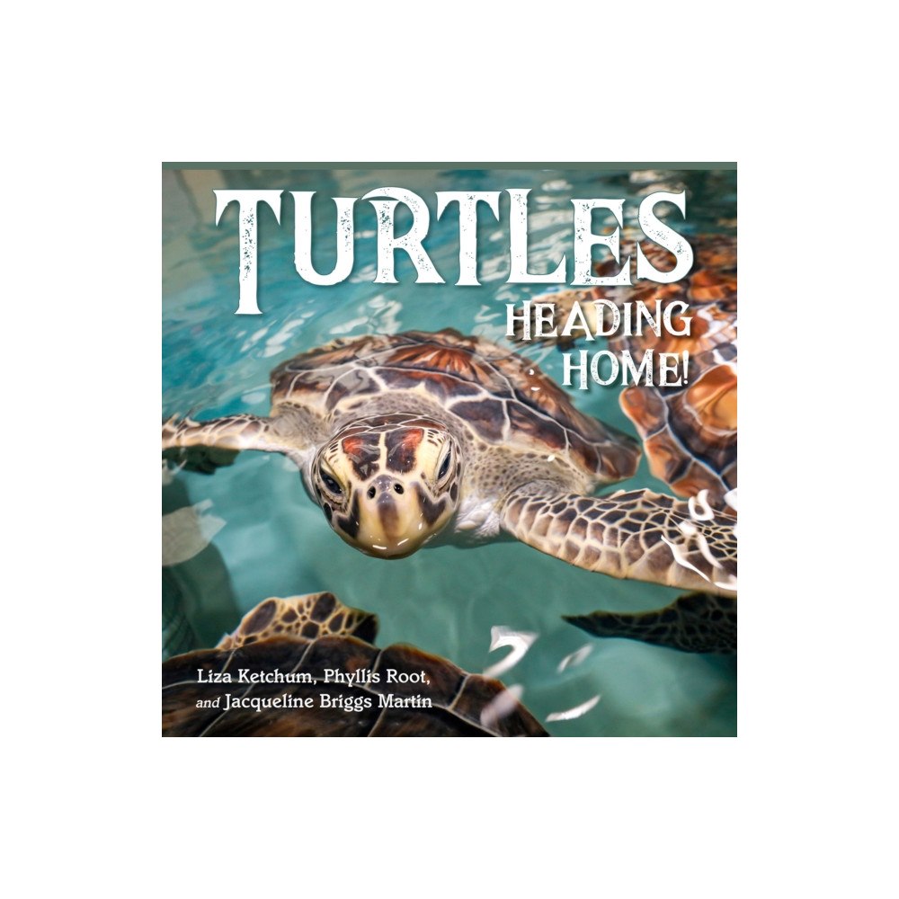 Charlesbridge Publishing,U.S. Turtles Heading Home! (inbunden, eng)