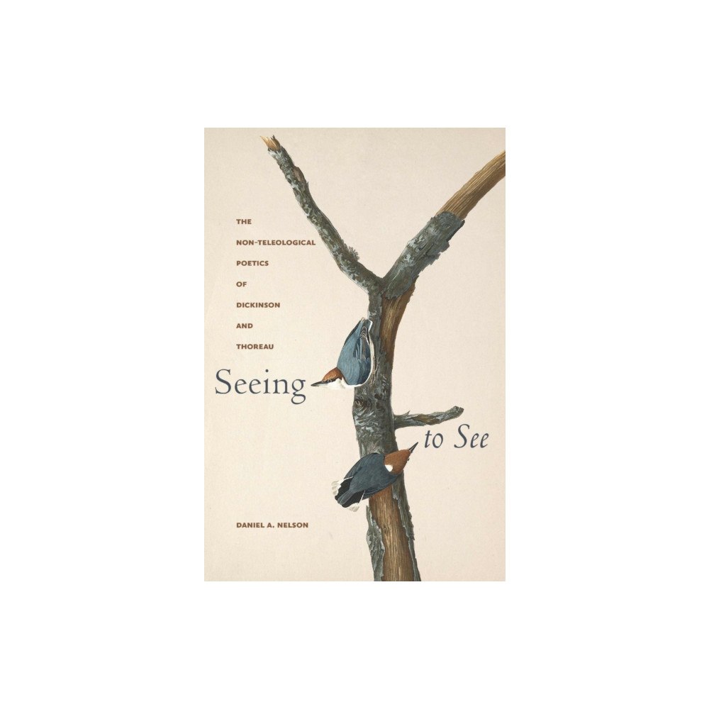 University of Massachusetts Press Seeing to See (häftad, eng)