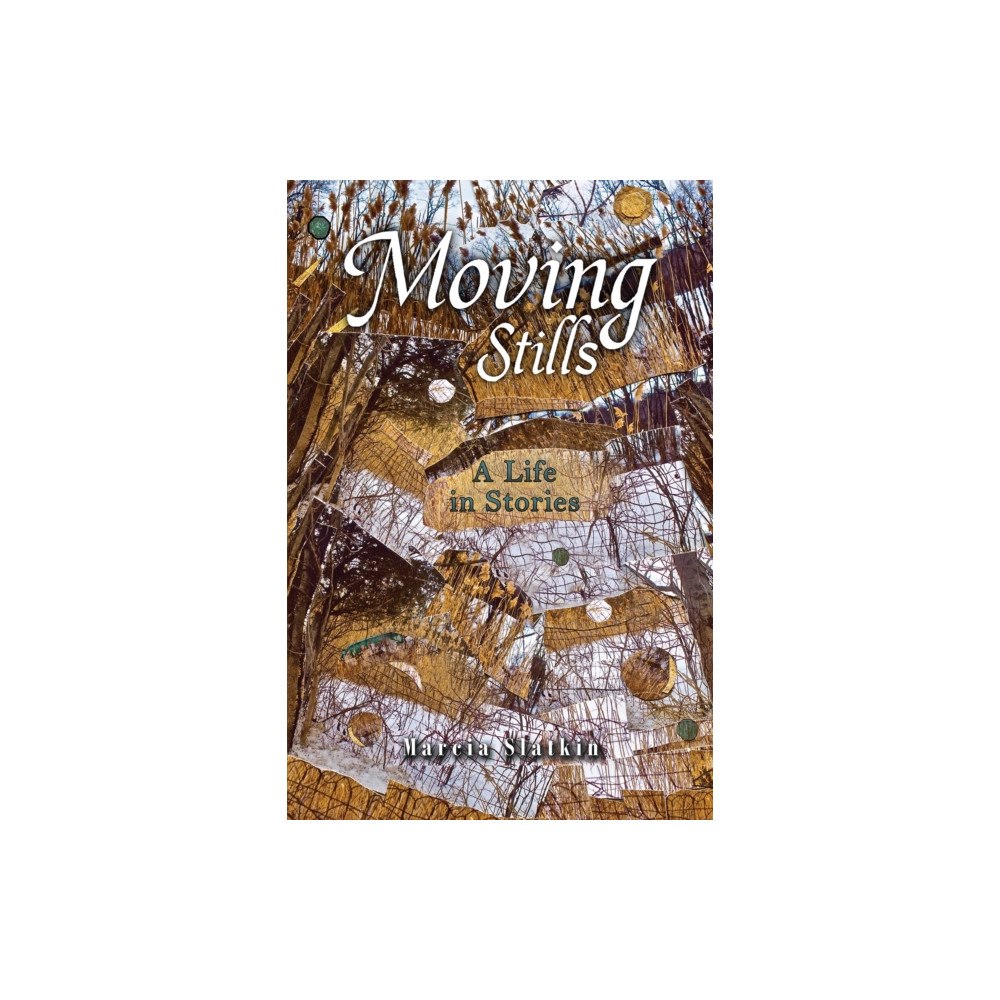 Austin Macauley Publishers LLC Moving Stills (häftad, eng)