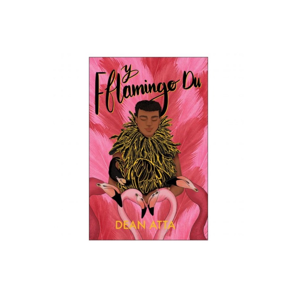 Canolfan Peniarth Y Fflamingo Du (häftad, wel)