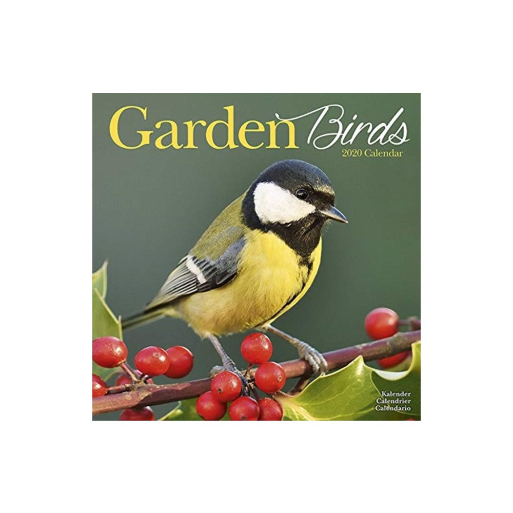 Avonside Publishing Ltd Garden Birds Calendar 2020 (häftad, eng)