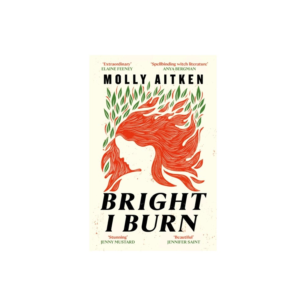 Canongate Books Bright I Burn (häftad, eng)