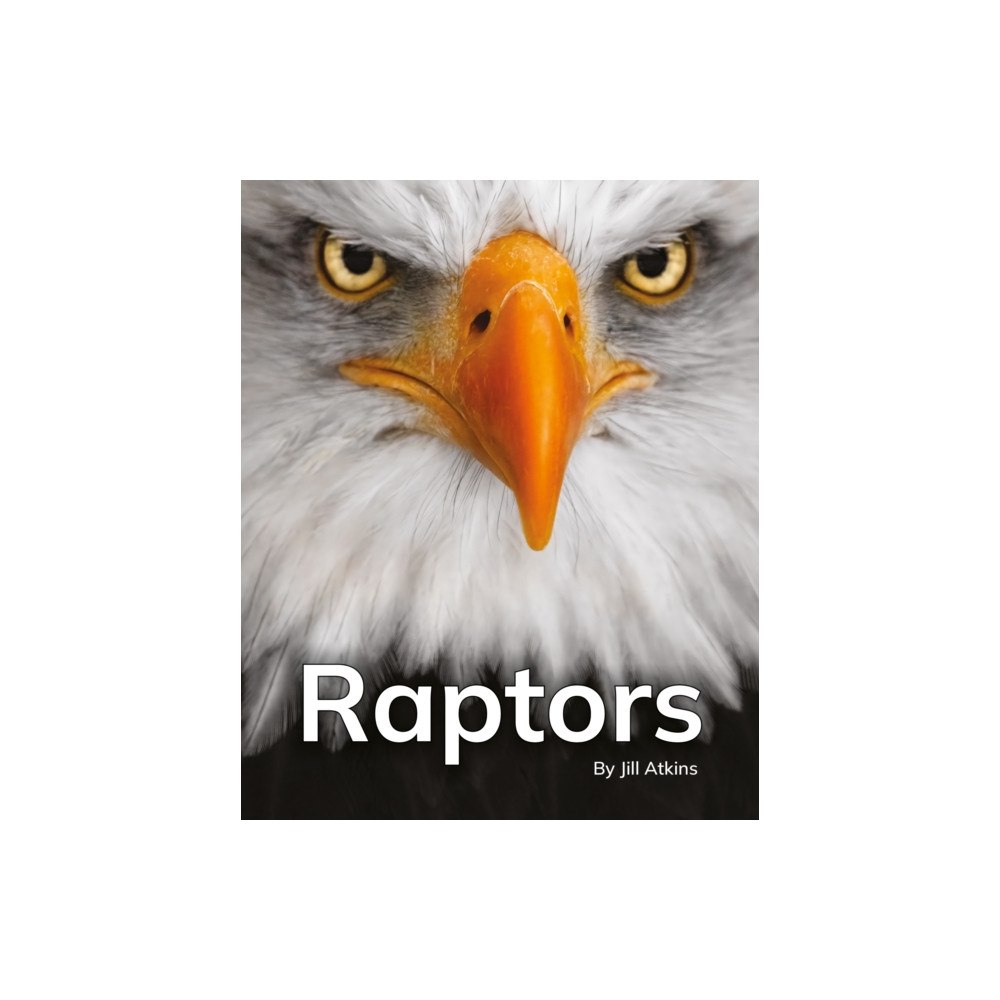 Ransom Publishing Raptors (häftad, eng)
