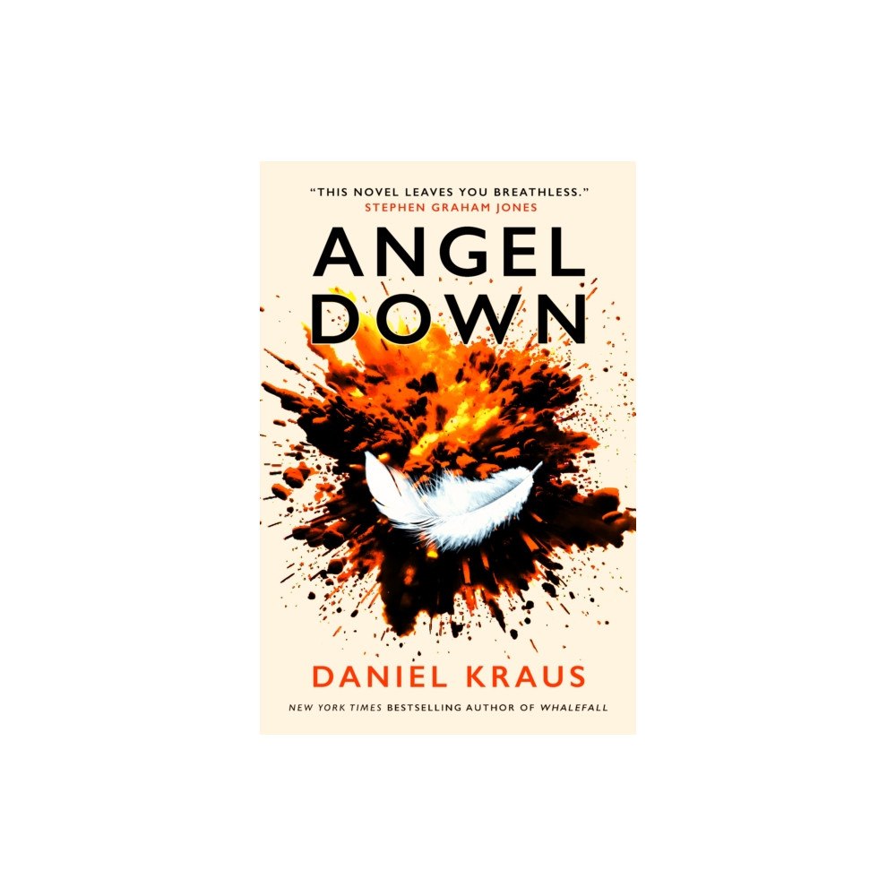Titan Books Ltd Angel Down (häftad, eng)