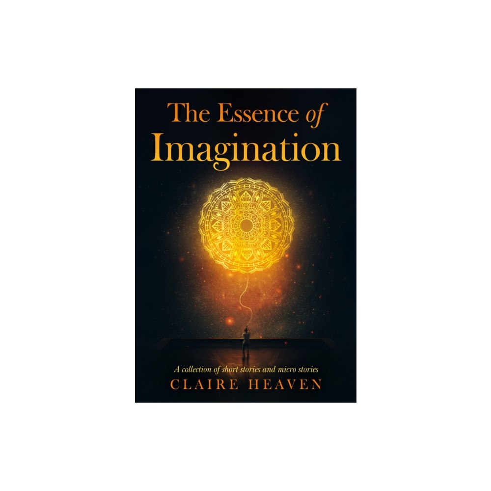 Troubador Publishing The Essence of Imagination (häftad, eng)