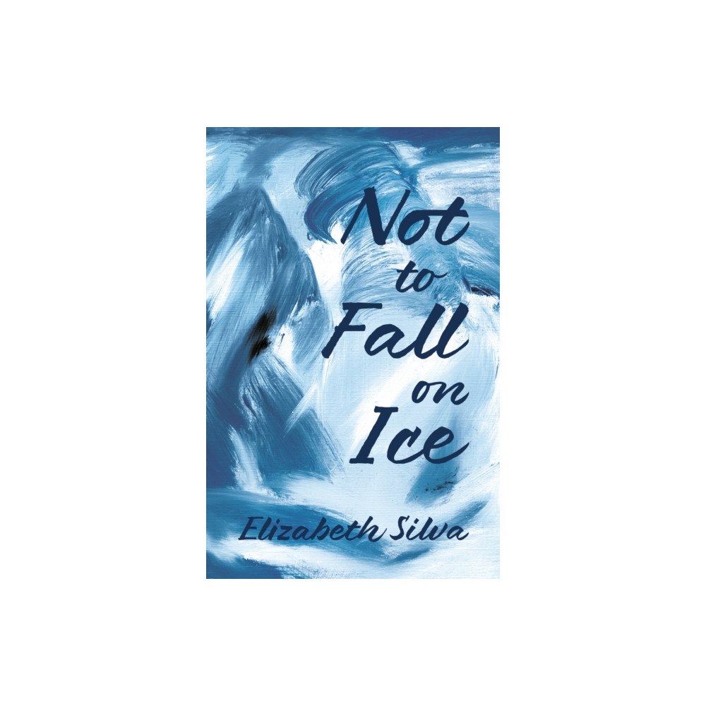 Troubador Publishing Not to Fall on Ice (häftad, eng)