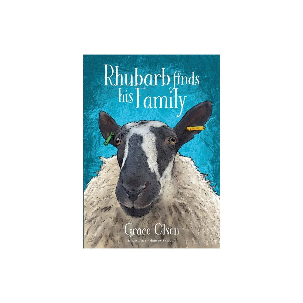 Brown Dog Books Rhubarb Finds His Family (häftad, eng)
