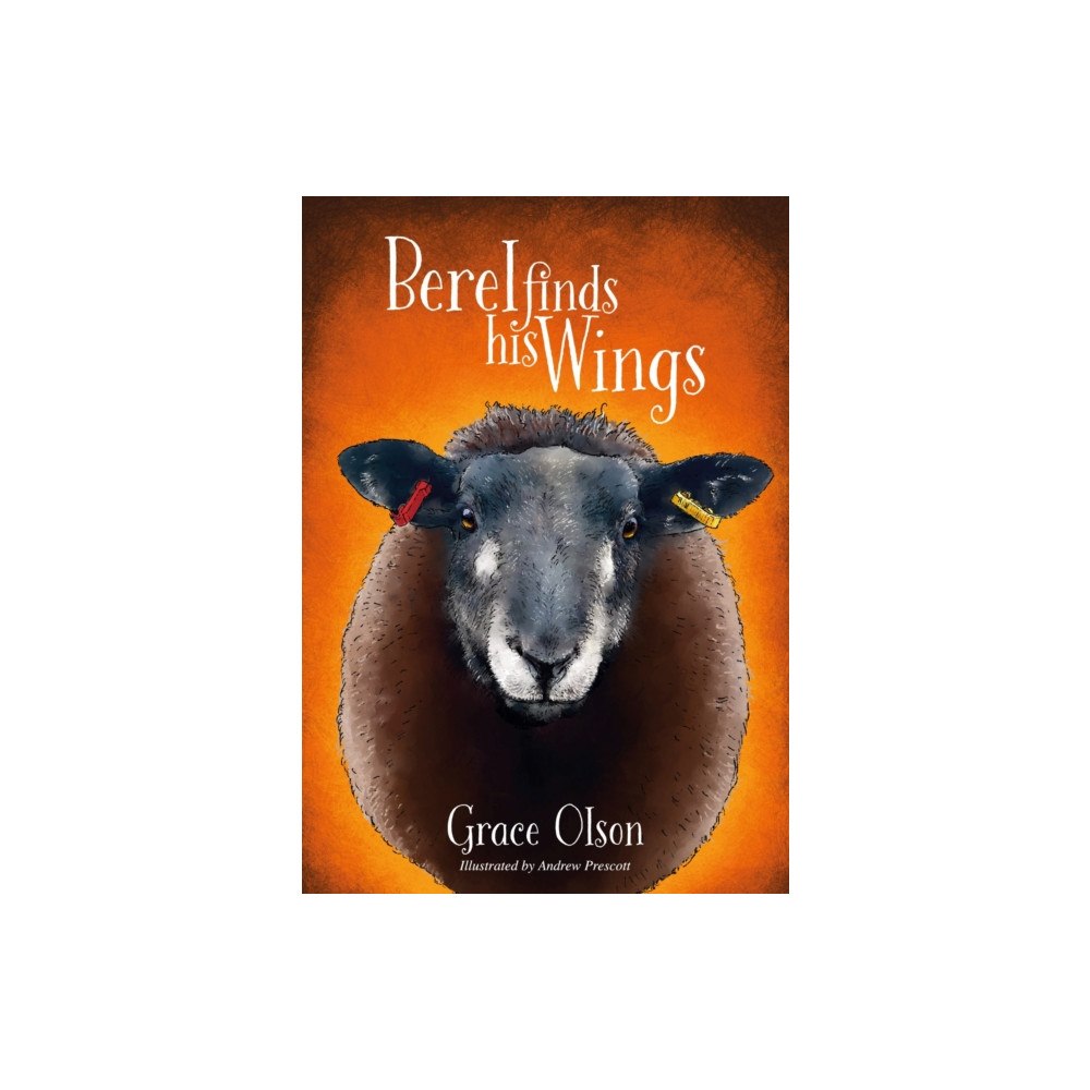 Brown Dog Books Berel Finds His Wings (häftad, eng)
