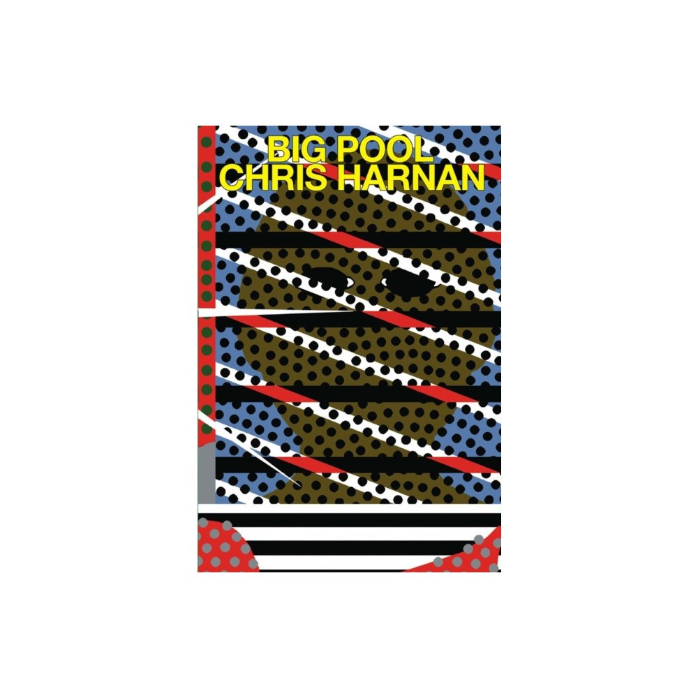 Breakdown Press Ltd Big Pool (häftad, eng)