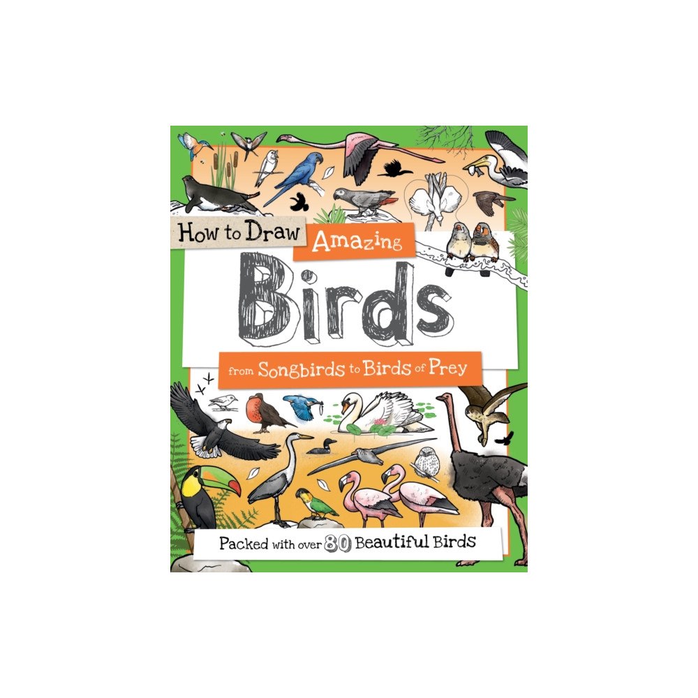 Green Android How To Draw Amazing Birds (häftad, eng)