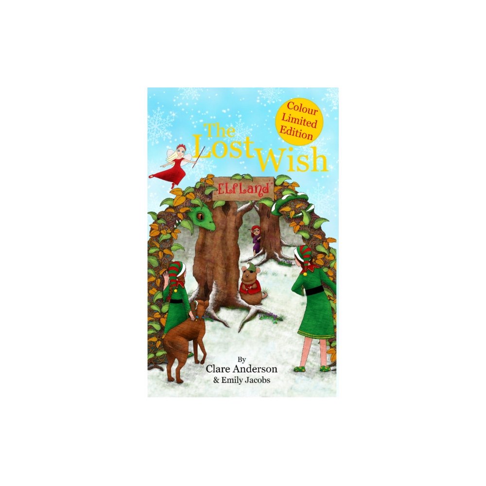 Book Bubble Press The Lost Wish (häftad, eng)