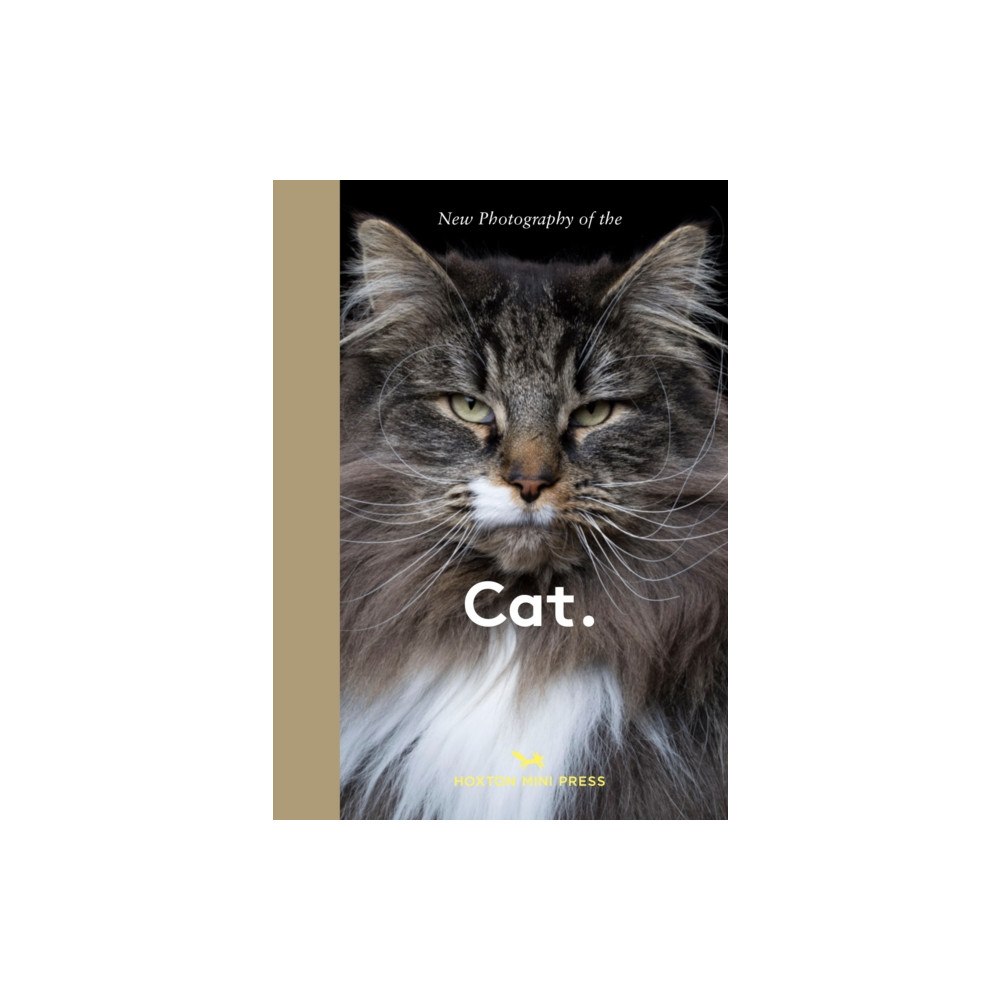 Hoxton Mini Press New Photography of the Cat. (inbunden, eng)