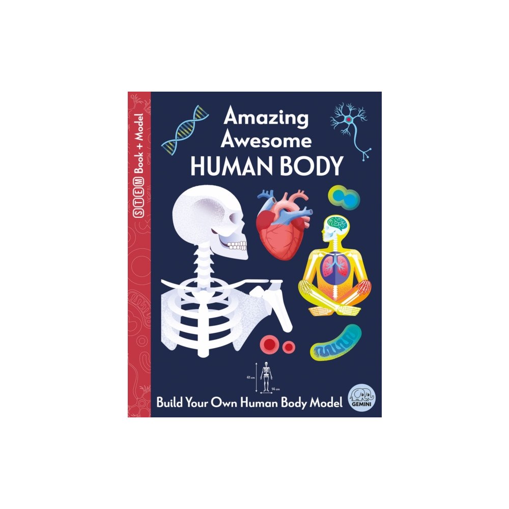 Gemini Books Group Ltd Amazing Awesome Human Body (bok, board book, eng)