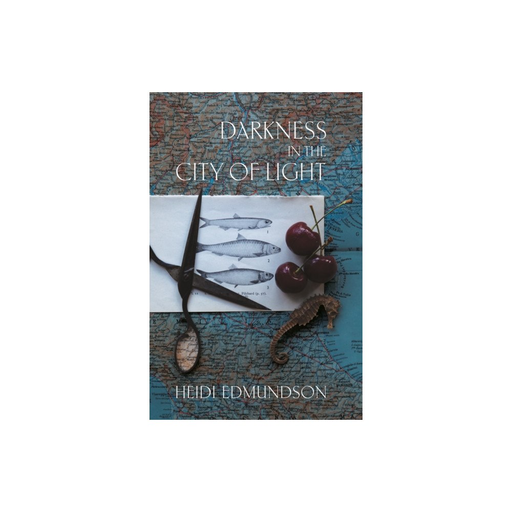 Constellations Press Darkness in the City of Light (häftad, eng)