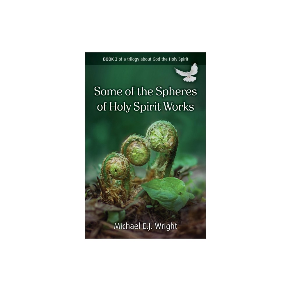 Malcolm Down Publishing Ltd Some of the Spheres Holy Spirit Works (häftad, eng)