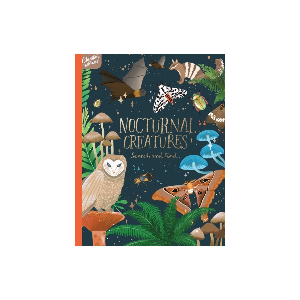Five Mile Nocturnal Creatures Search and Find (inbunden, eng)