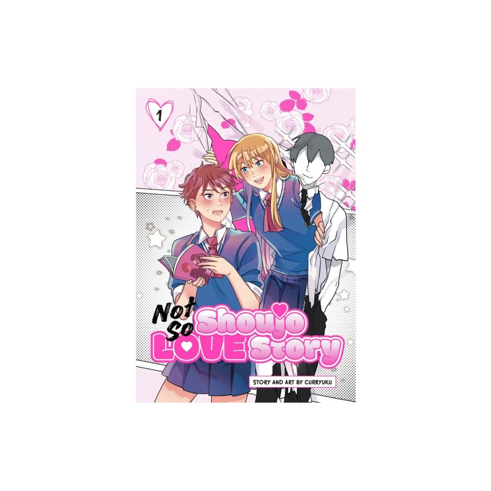 Viz Media, Subs. of Shogakukan Inc Not So Shoujo Love Story, Vol. 1 (häftad, eng)