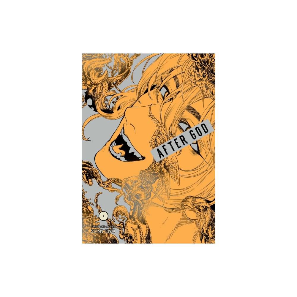 Viz Media, Subs. of Shogakukan Inc After God, Vol. 4 (häftad, eng)