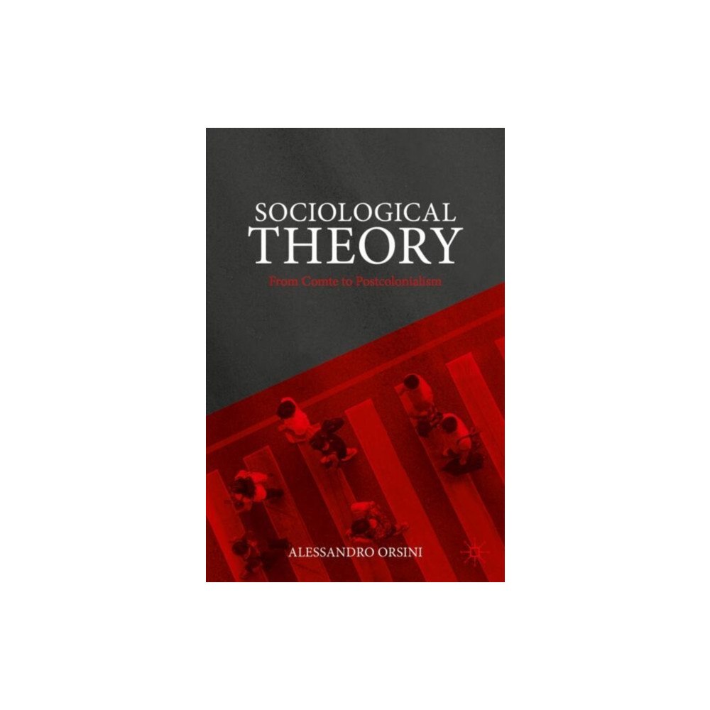 Springer International Publishing AG Sociological Theory (häftad, eng)