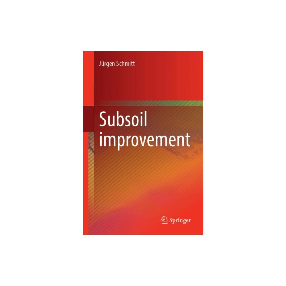 Springer International Publishing AG Subsoil Improvement (häftad, eng)