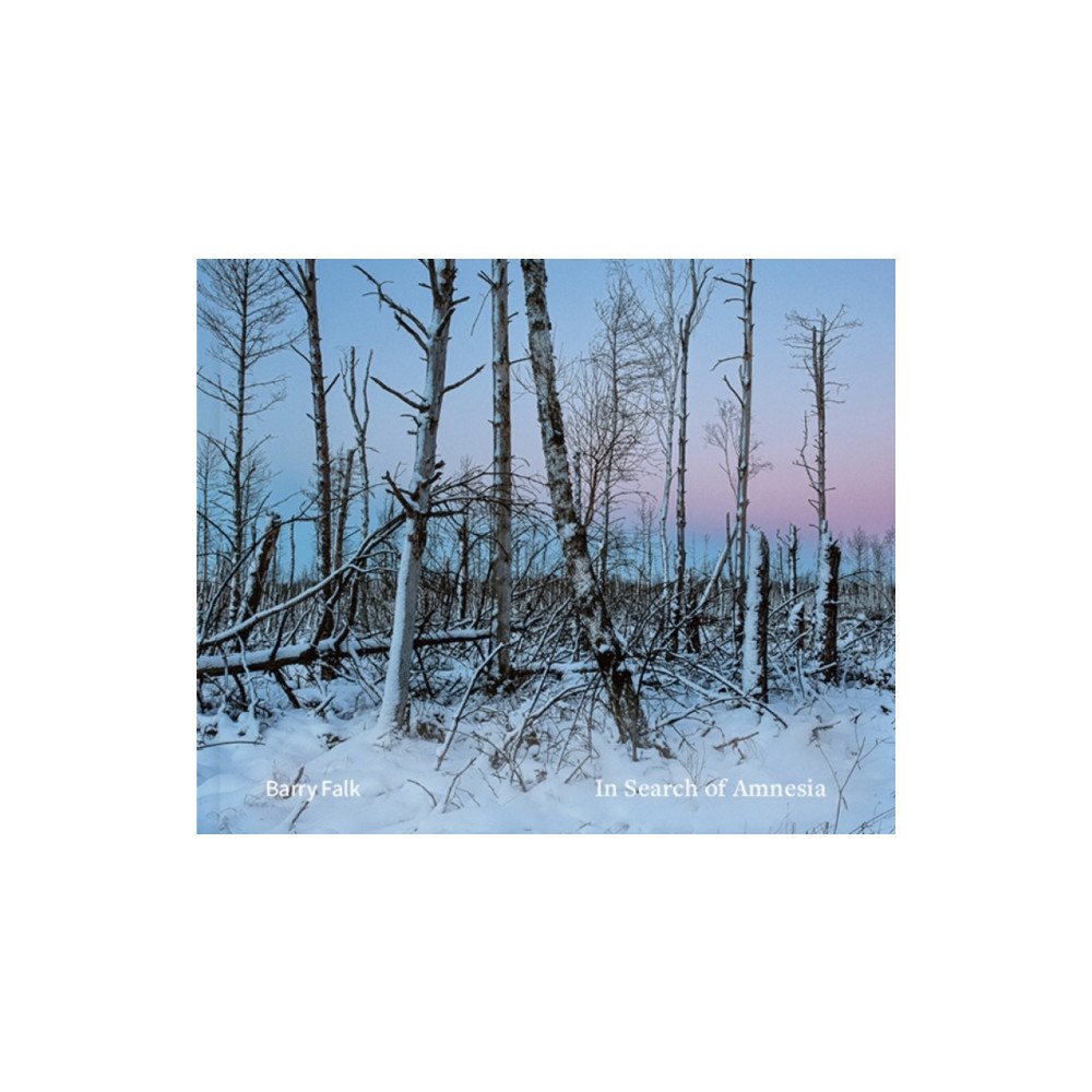 Kehrer Verlag In Search of Amnesia (inbunden, eng)