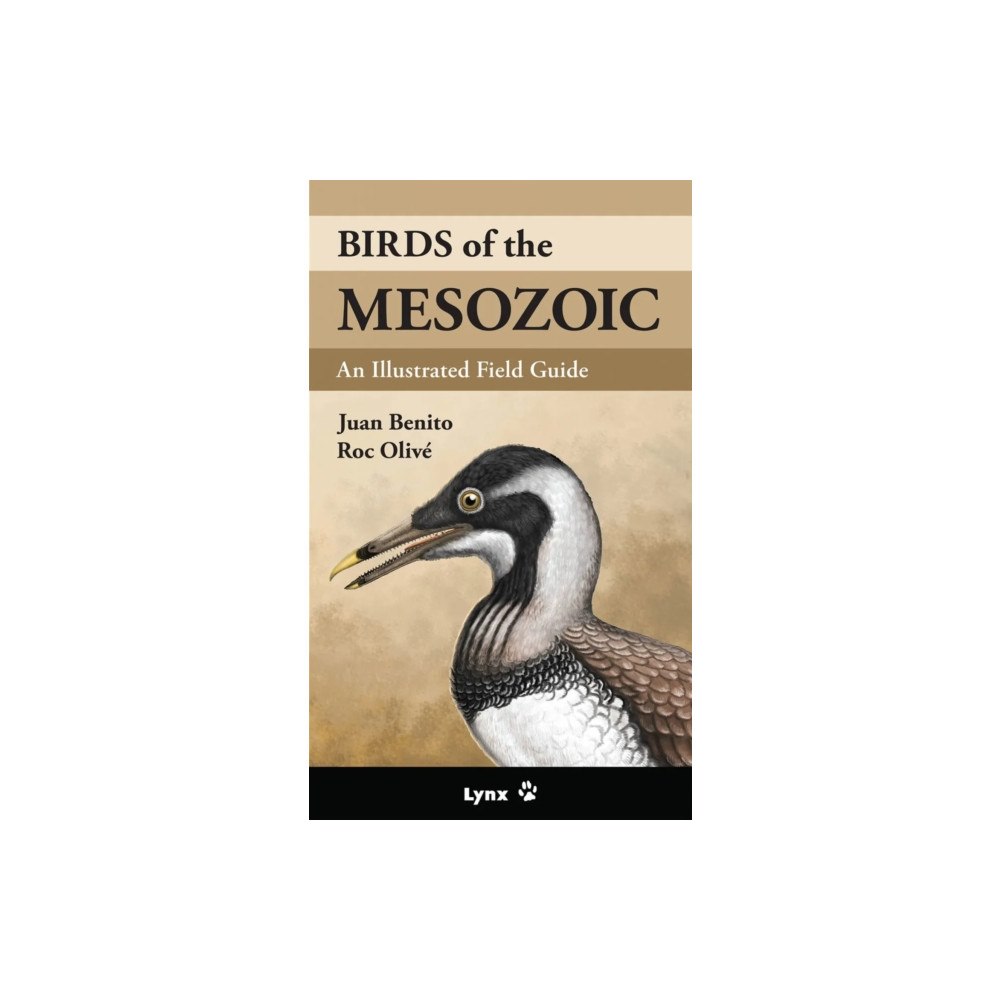 Alada Books, S.L. Birds of the Mesozoic (häftad, eng)