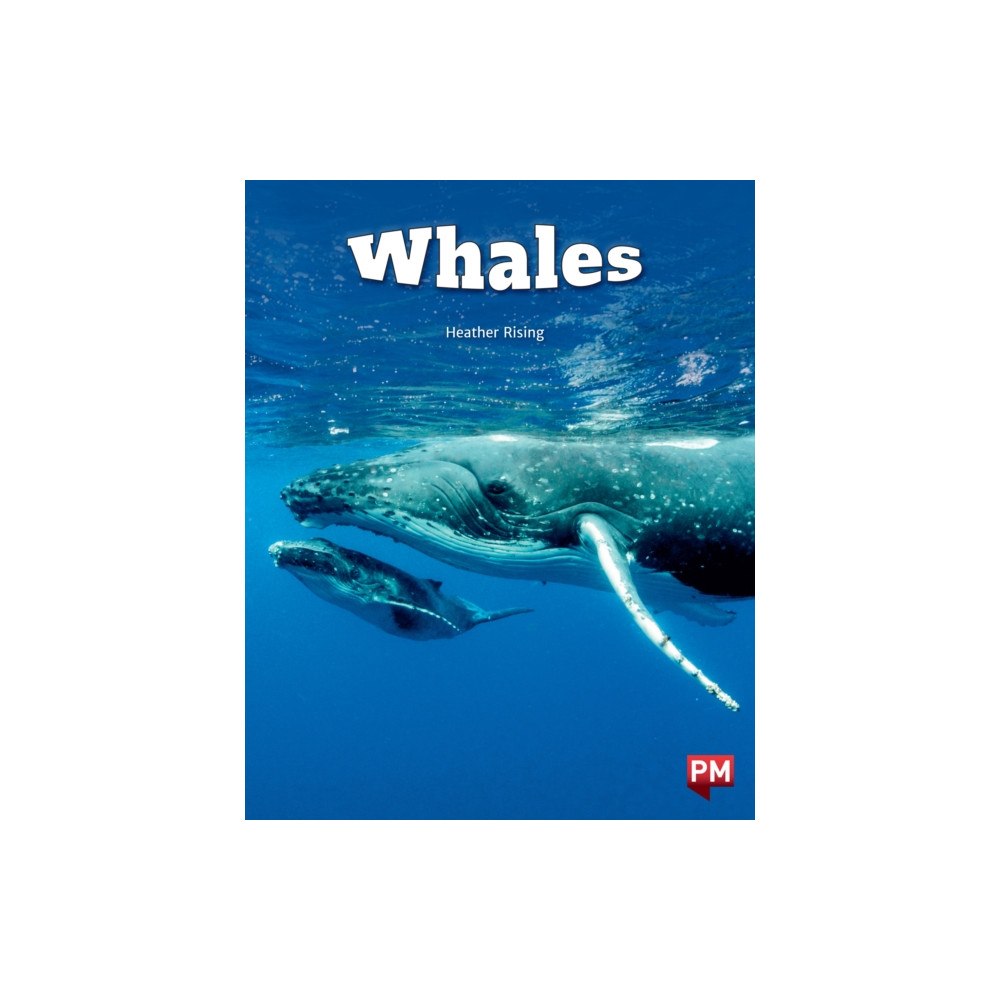 SCHOLASTIC LTD Whales Level 24 X6 (häftad, eng)