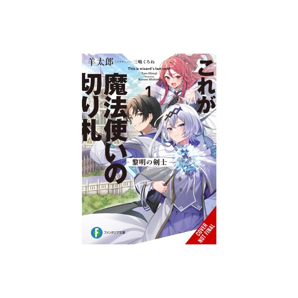 Little, Brown & Company This Is the Wizard’s Secret Weapon, Vol. 1 (light novel) (häftad, eng)