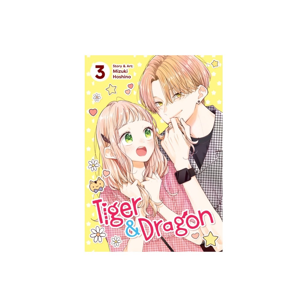 Seven Seas Entertainment, LLC Tiger and Dragon Vol. 3 (häftad, eng)