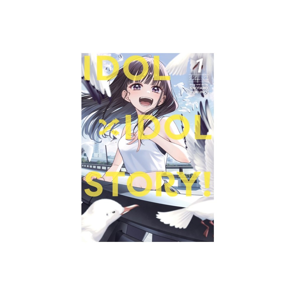 Seven Seas Entertainment, LLC IDOL x IDOL STORY! Vol. 1 (häftad, eng)