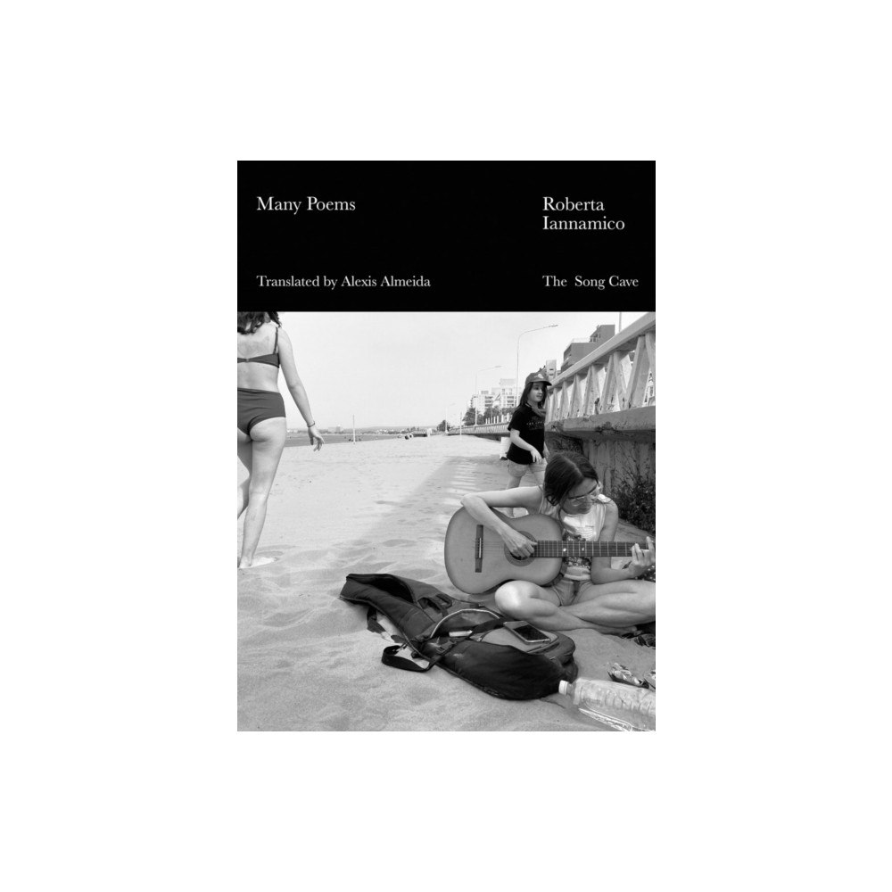 The Song Cave Many Poems (häftad, eng)